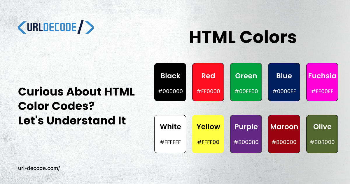 Curious About HTML Color Codes? Let's Understand It